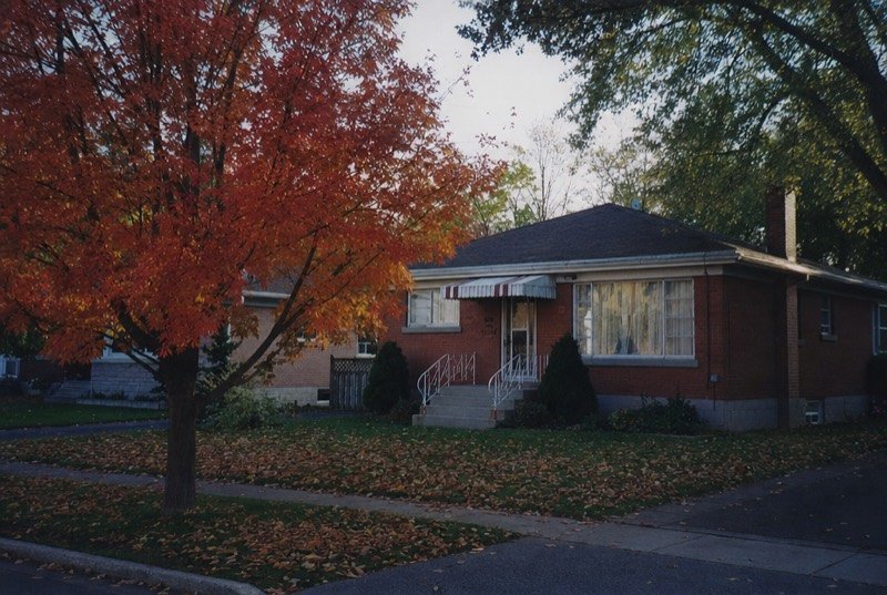 A modest brick bungalow behind a red maple in autumn colour, leaves scattered on the lawn